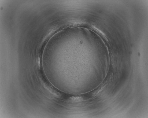 X0000076390067200610161150