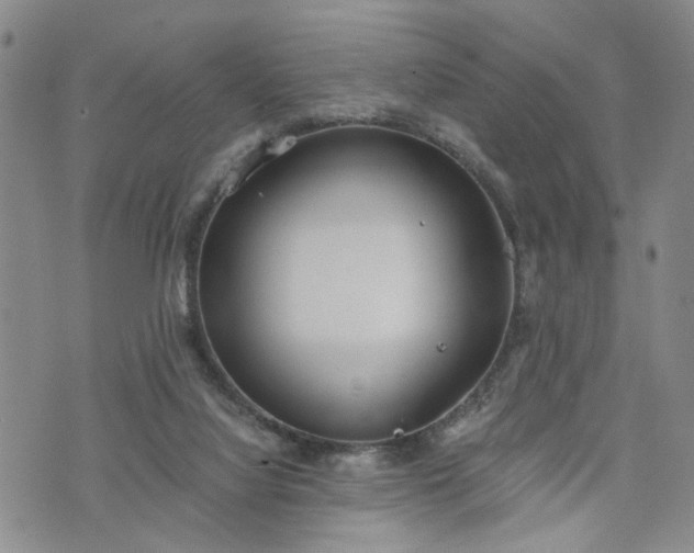 X0000076390068200610161150