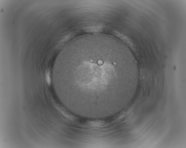 X0000076390069200610161150