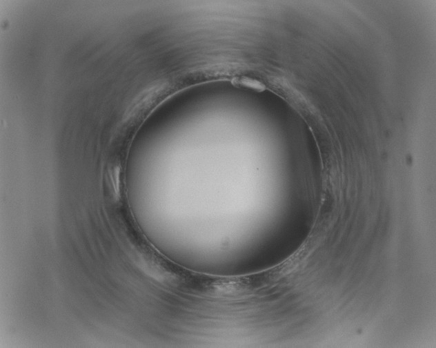 X0000076390070200610161150