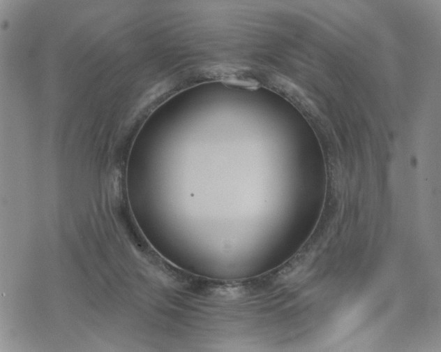 X0000076390071200610161150