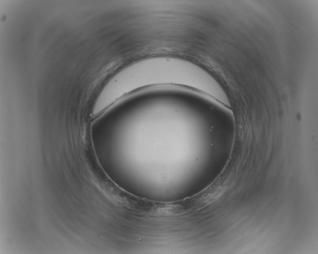 X0000076390072200610161150