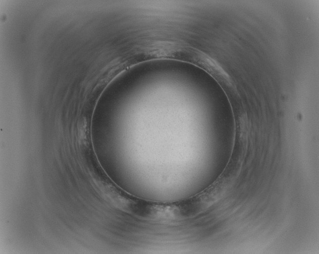 X0000076390073200610161150