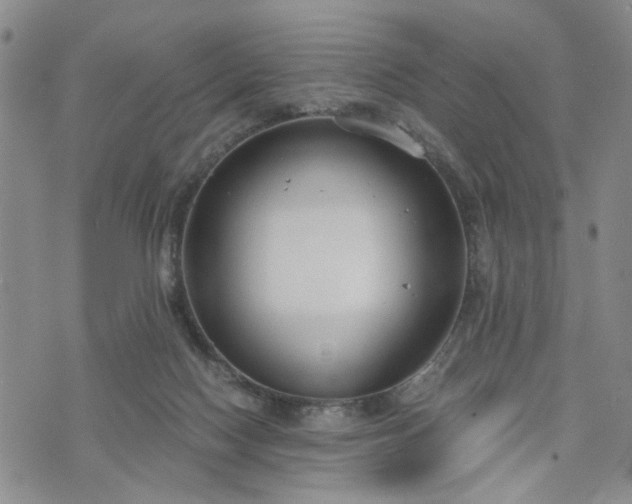 X0000076390074200610161151