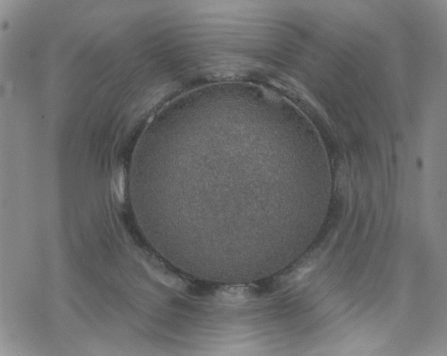 X0000076390076200610161151