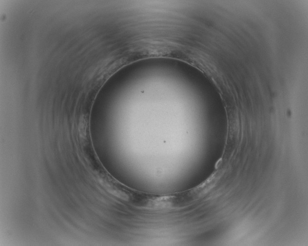 X0000076390078200610161151