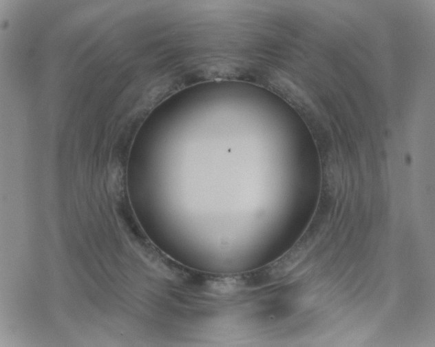 X0000076390079200610161151