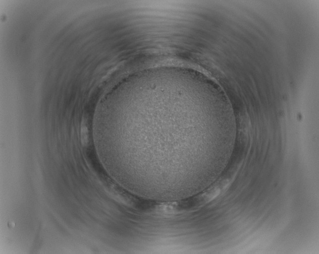 X0000076390080200610161151