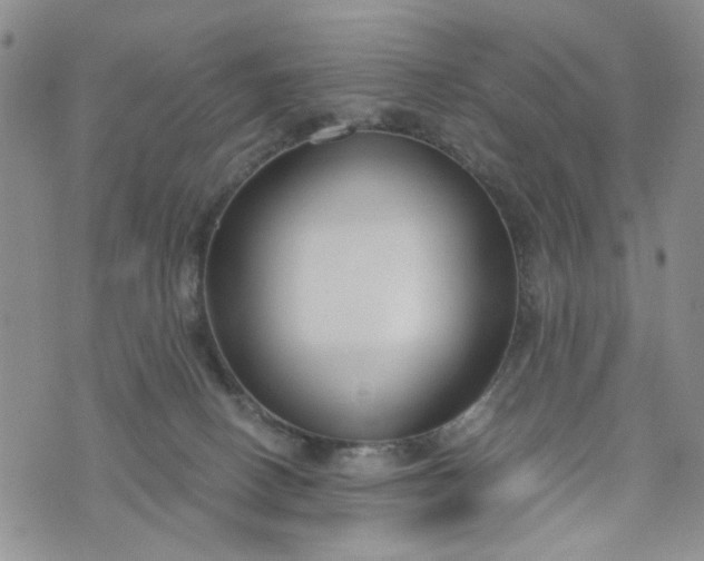 X0000076390082200610161151