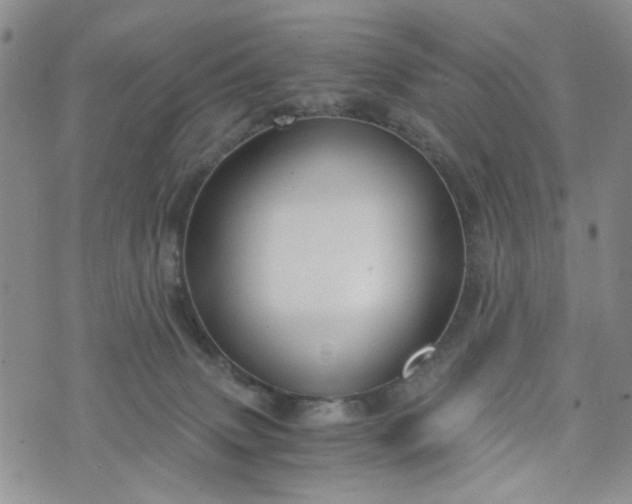 X0000076390083200610161151