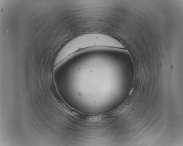 X0000076390084200610161151