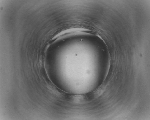 X0000076390085200610161151