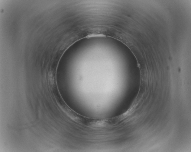 X0000076390086200610161151