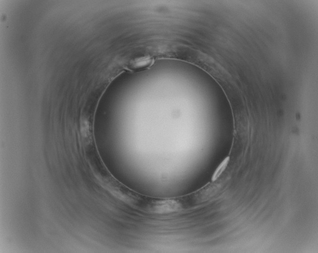 X0000076390087200610161151