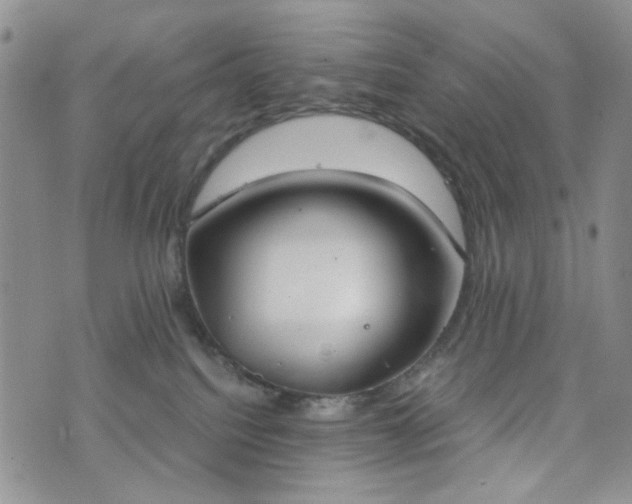 X0000076390088200610161151