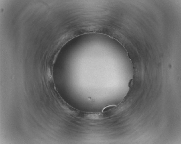 X0000076390089200610161151