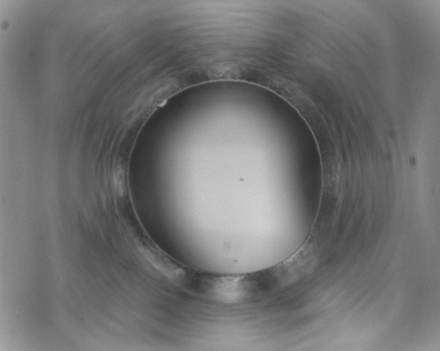 X0000076390090200610161151