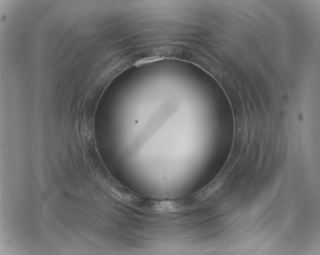 X0000076390091200610161151