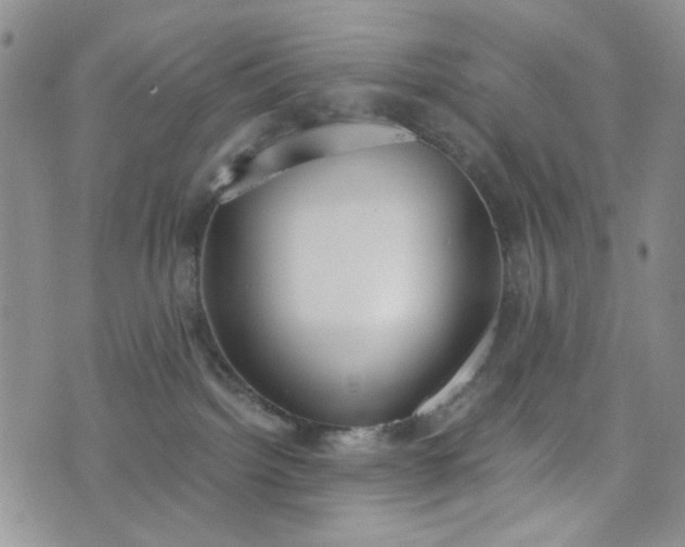 X0000076390092200610161151