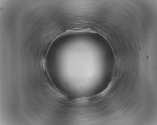 X0000076390094200610161151