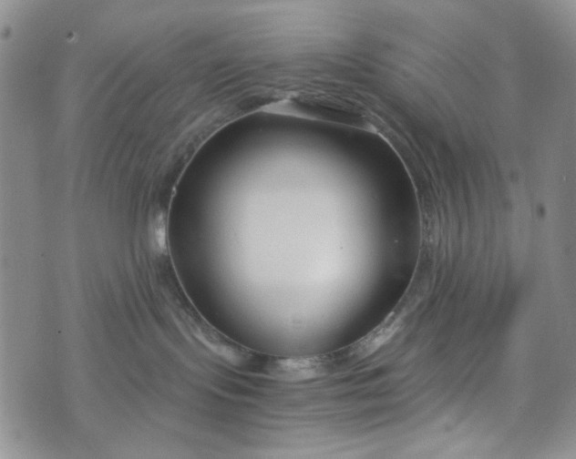 X0000076390095200610161151