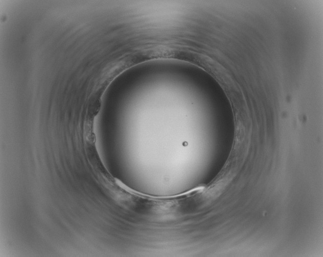 X0000076390096200610161151