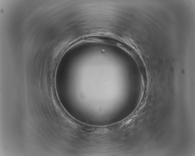 X0000076390097200610161150