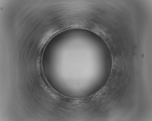 X0000076390098200610161150