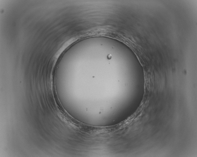 X0000076390100200610161150