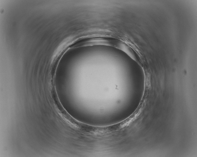 X0000076390101200610161150