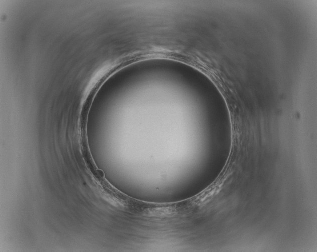 X0000076390102200610161150