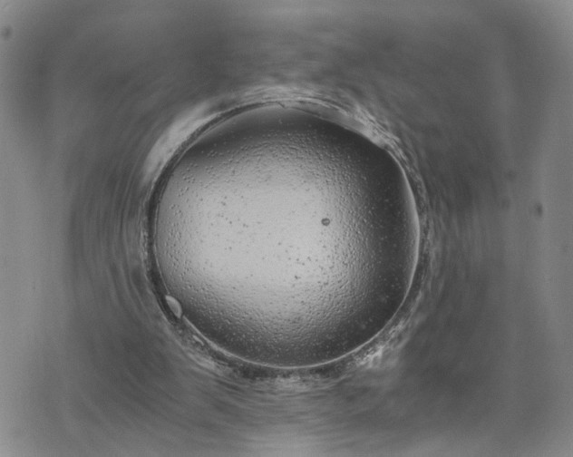 X0000076390103200610161150