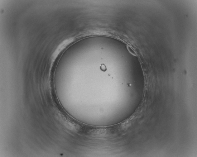 X0000076390104200610161150