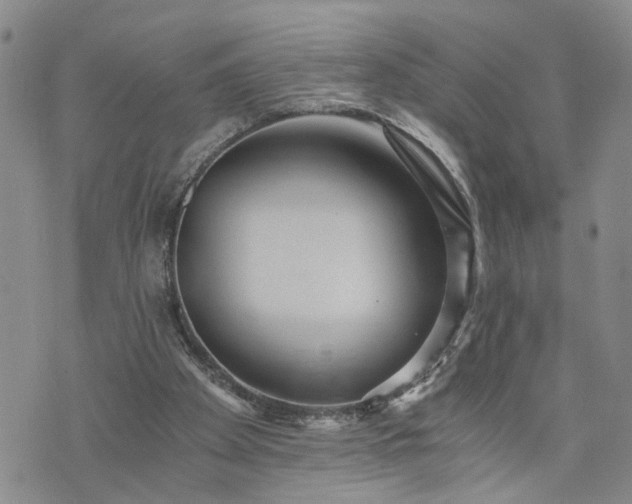 X0000076390105200610161150