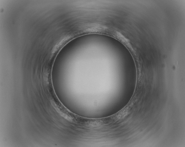 X0000076390106200610161150