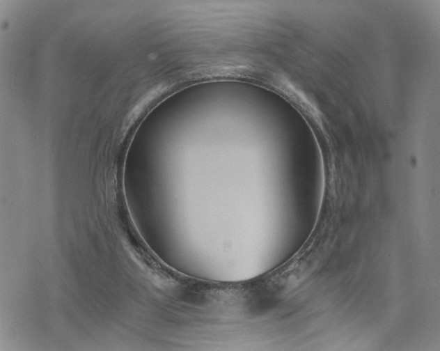 X0000076390107200610161150