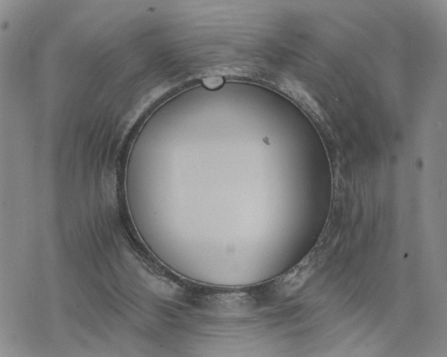 X0000076390108200610161150