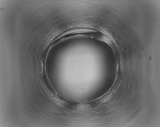 X0000076390109200610161150