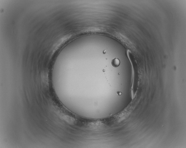 X0000076390112200610161150