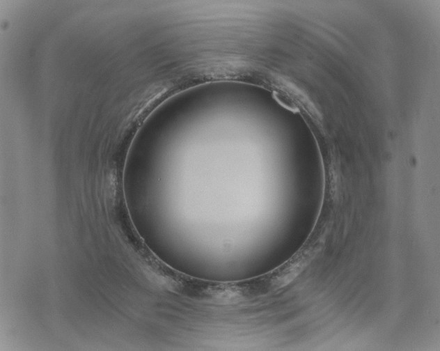 X0000076390113200610161150