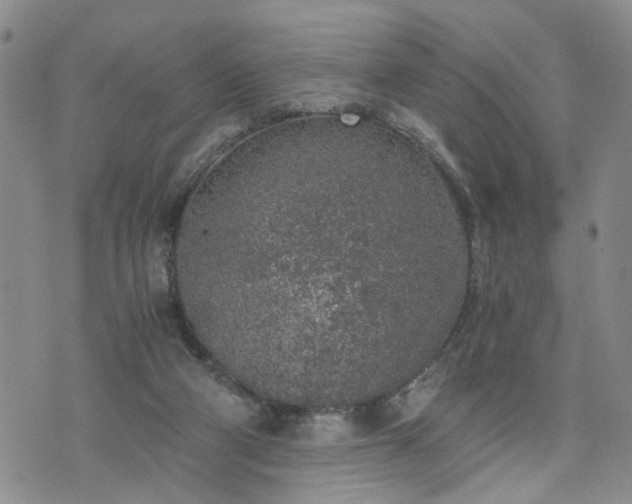 X0000076390114200610161150