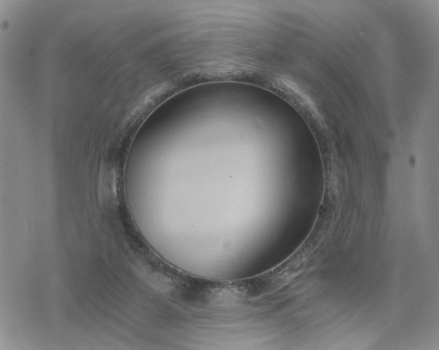 X0000076390115200610161150