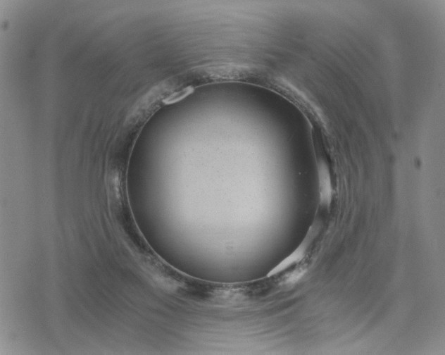 X0000076390117200610161150