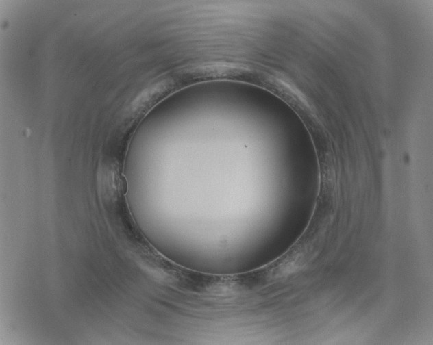 X0000076390119200610161150