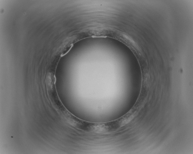 X0000076390121200610161150