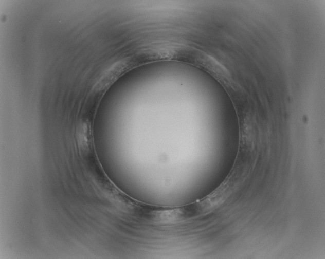 X0000076390122200610161150