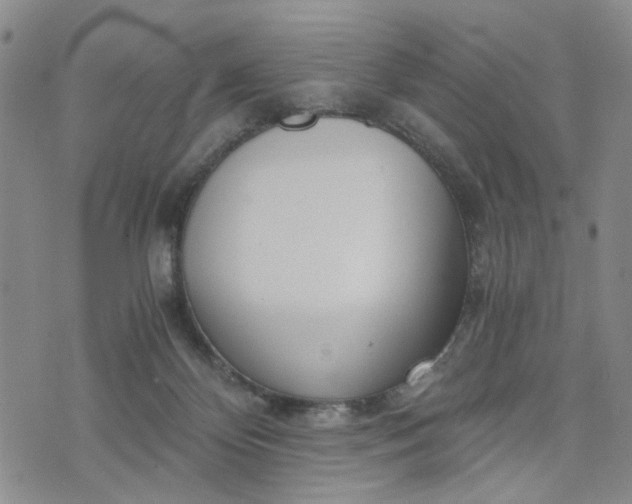 X0000076390124200610161150