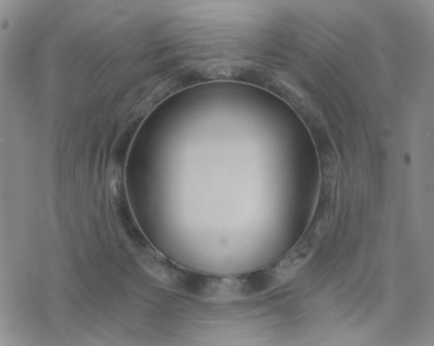 X0000076390125200610161150