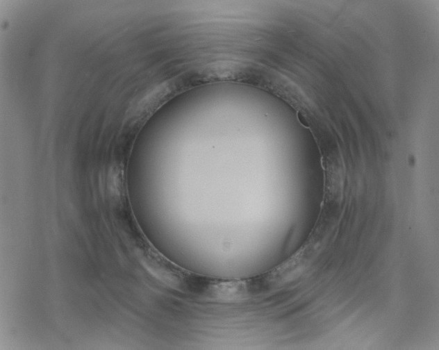 X0000076390126200610161150