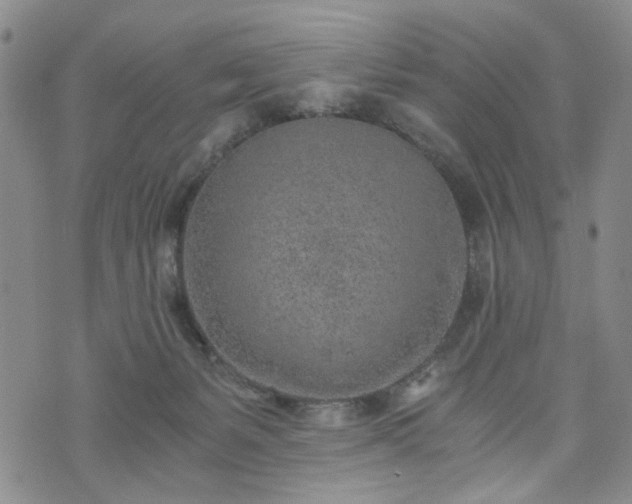 X0000076390127200610161150